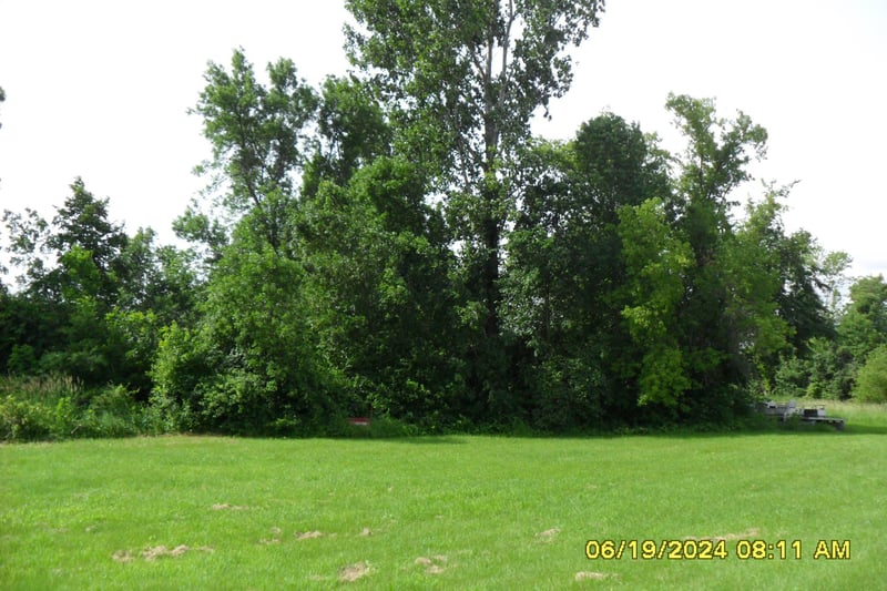 50746 Evergreen Ave, Rush City, MN 55069