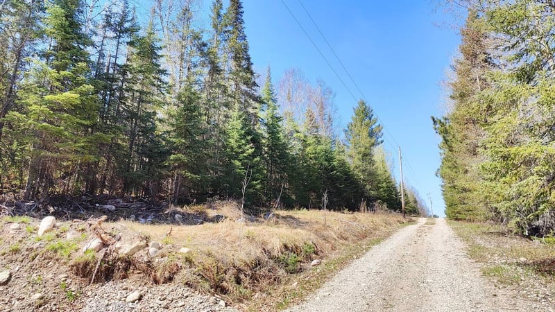 TBD Frazer Bay Rd, Tower, MN 55790