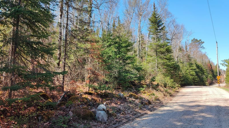 TBD Frazer Bay Rd, Tower, MN 55790