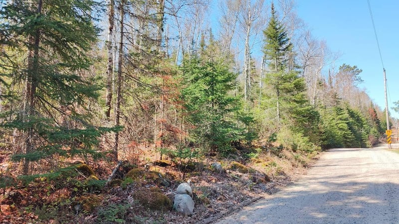 TBD Frazer Bay Rd, Tower, MN 55790