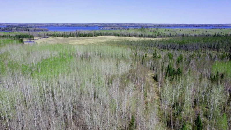 TBD5 Hwy 115, Tower, MN 55790