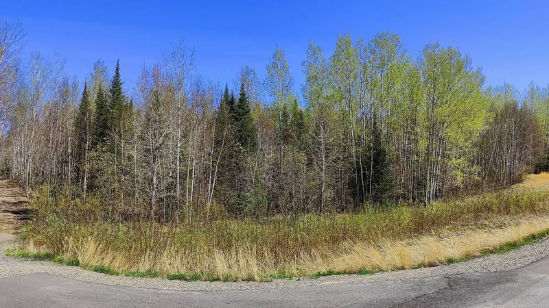 TBD5 Hwy 115, Tower, MN 55790
