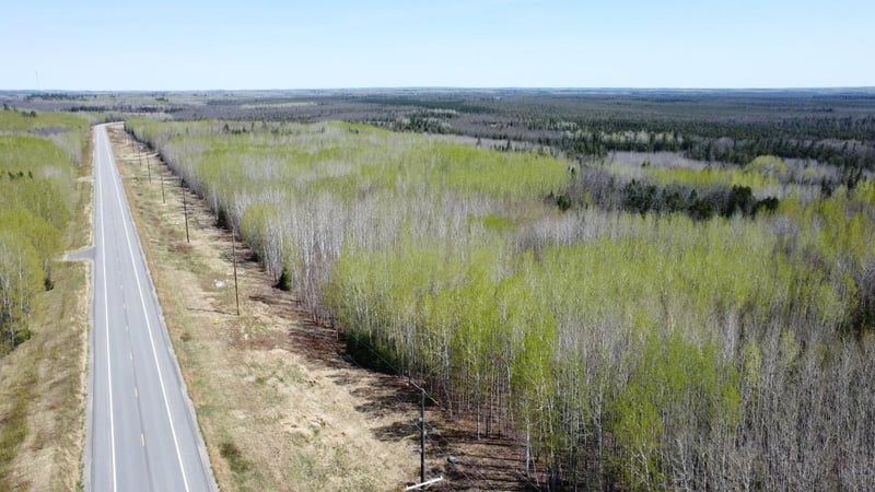TBD2 Hwy 115, Tower, MN 55790