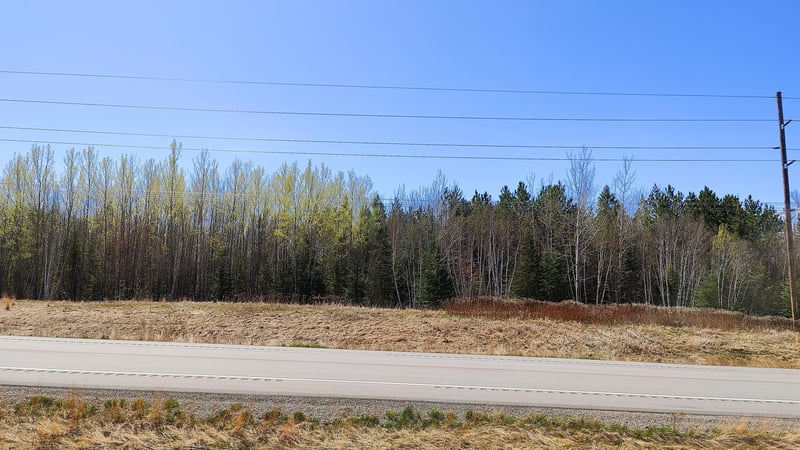 TBD2 Hwy 115, Tower, MN 55790