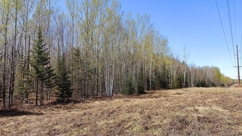 TBD2 Hwy 115, Tower, MN 55790