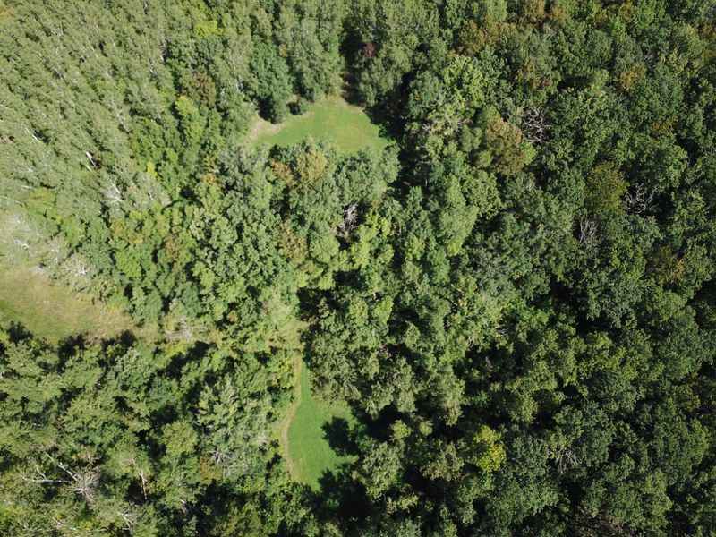 TBD Csah 14, Lengby, MN 56557