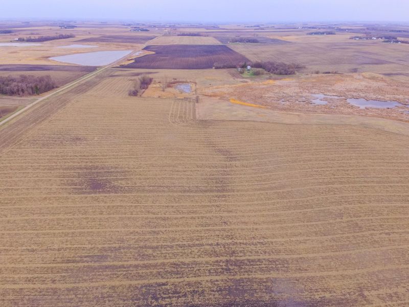 TBD 170th St, Madison, MN 56256