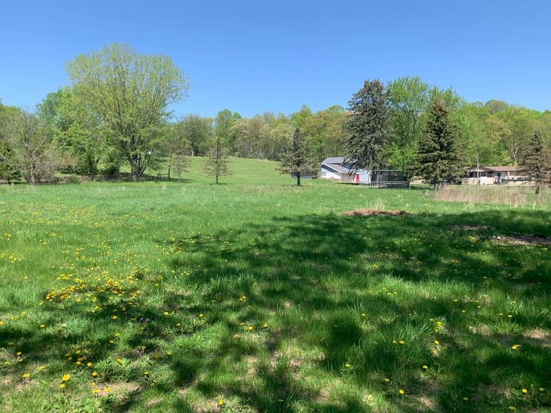 745 W Center St, Oronoco, MN 55960
