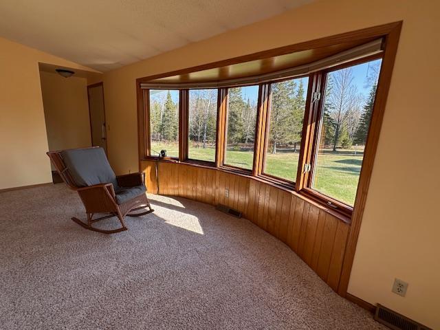 5769 W Saari Rd, Embarrass, MN 55732