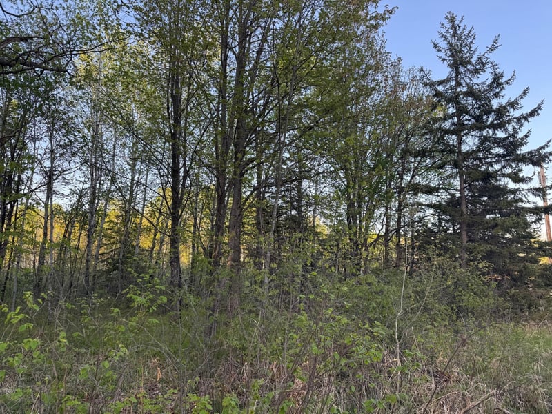 TBD 180th Ln, Mc Grath, MN 56350