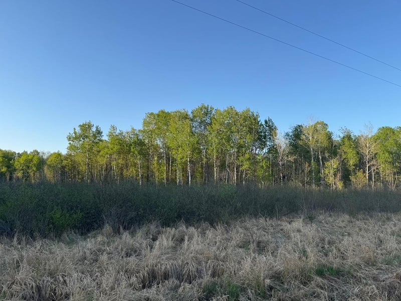 TBD 180th Ln, Mc Grath, MN 56350
