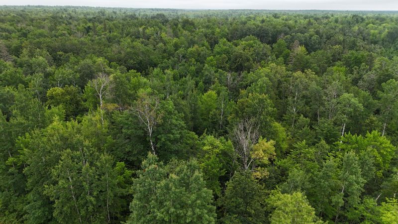 TBD Engine Hill Rd, Dairyland, WI 54830