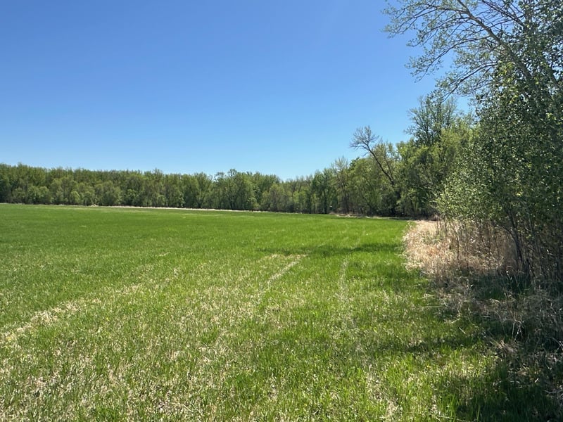37791 390th Ave, Aitkin, MN 56431