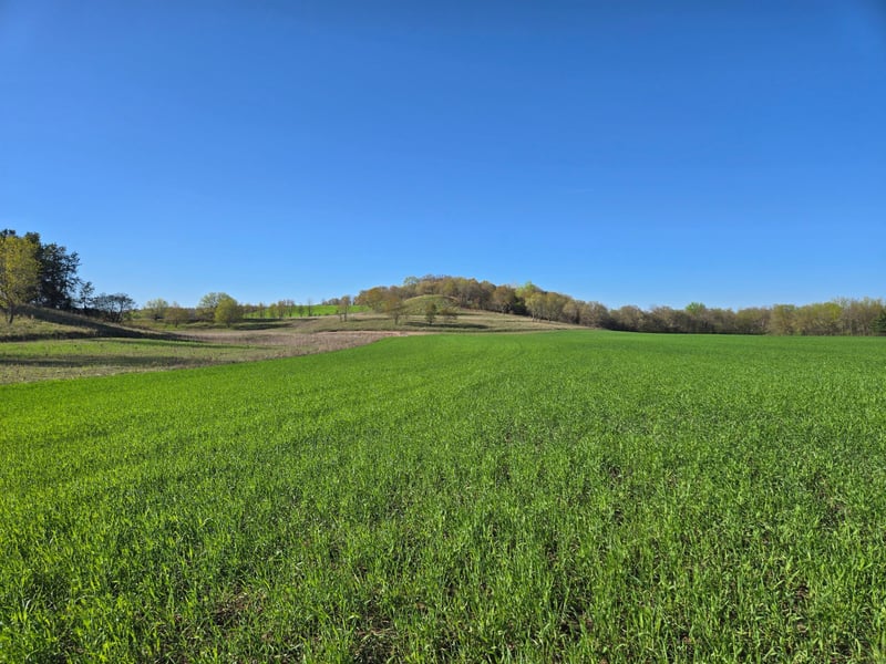 16.74 acres County Road N, Wheeler, WI 54772