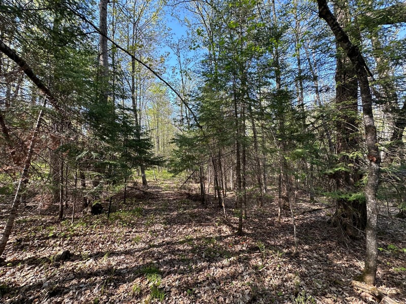 xxx Elm Rd, Barnum, MN 55707