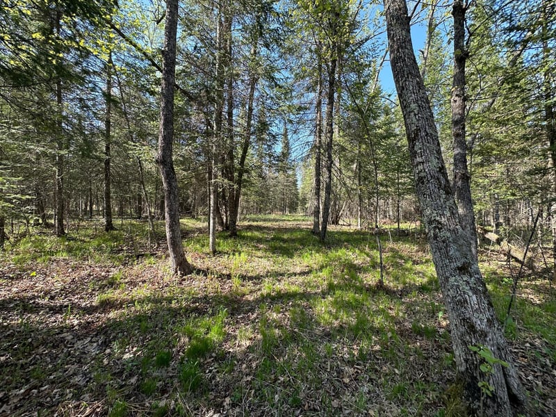 xxx Elm Rd, Barnum, MN 55707