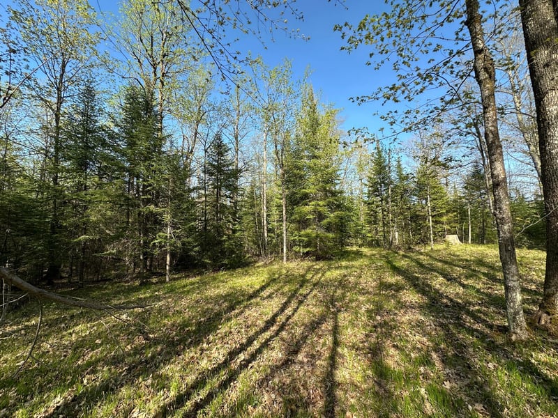 xxx Elm Rd, Barnum, MN 55707