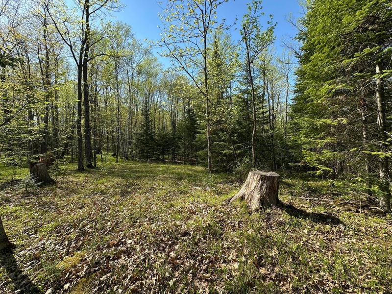 xxx Elm Rd, Barnum, MN 55707