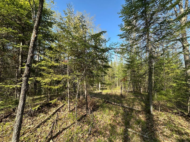 xxx Elm Rd, Barnum, MN 55707