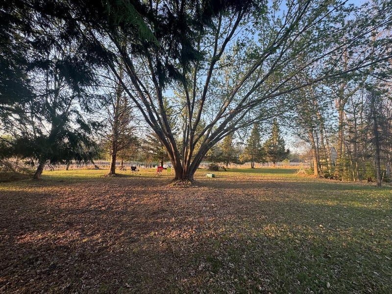 54202 Memory Ln NE, Waskish, MN 56685