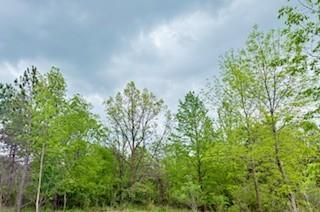 102.77 Acres 805th St, River Falls, WI 54022