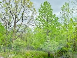 102.77 Acres 805th St, River Falls, WI 54022
