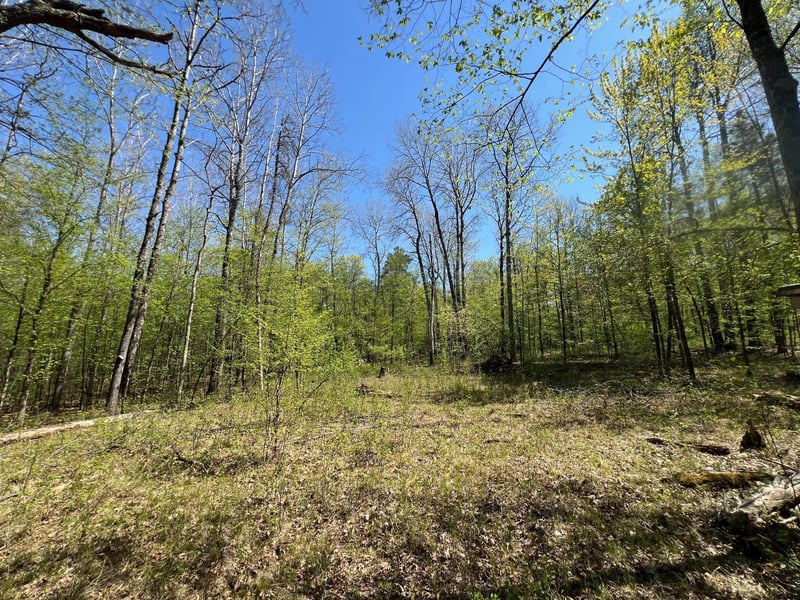 Lot 13 Hide Away Trl, Webb Lake, WI 54830