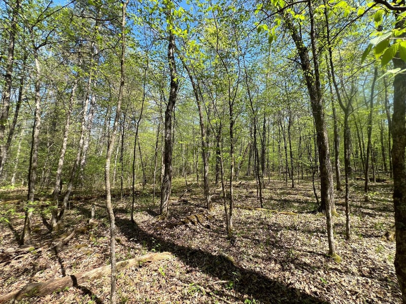 Lot 13 Hide Away Trl, Webb Lake, WI 54830