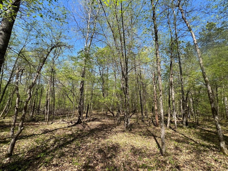 Lot 13 Hide Away Trl, Webb Lake, WI 54830
