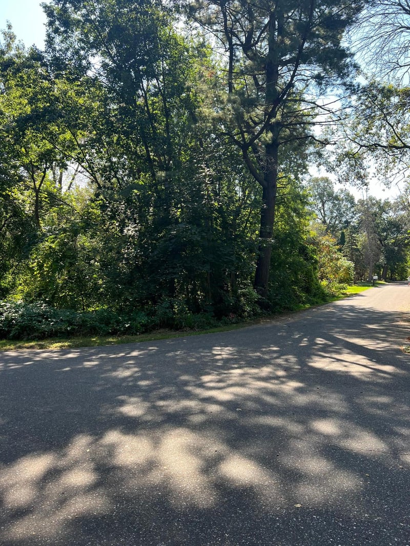 xxx Birch Rd, East Bethel, MN 55092