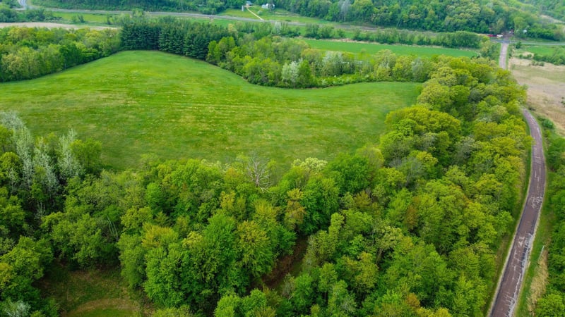 0 Blom Rd, Blair, WI 54616