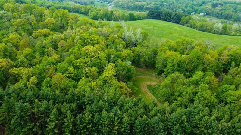 0 Blom Rd, Blair, WI 54616