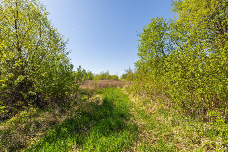 Parcel B 26AC 470th St, Sunrise Twp, MN 55032