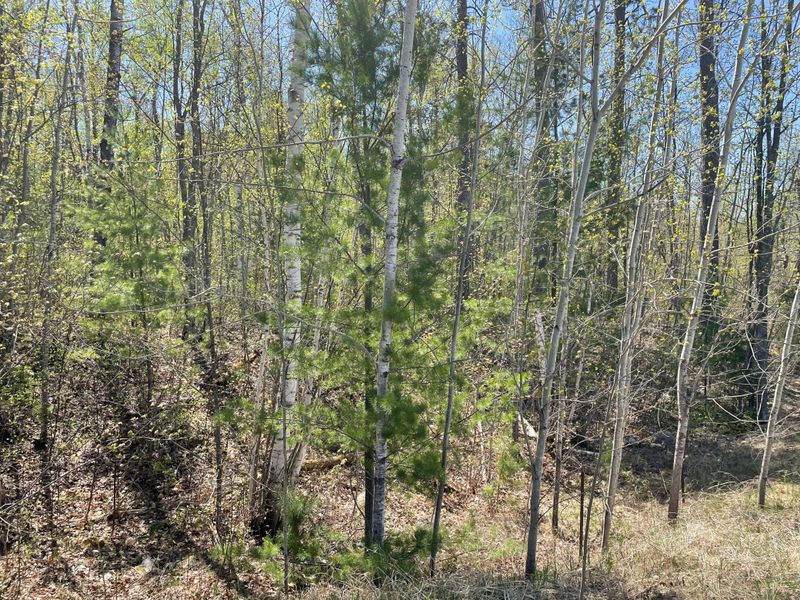 5610 Birchbark Ldg, Biwabik, MN 55708