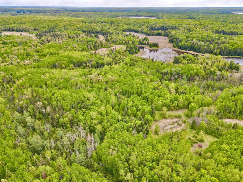 TBD Mary Yellowhead Rd, Ogema, MN 56569