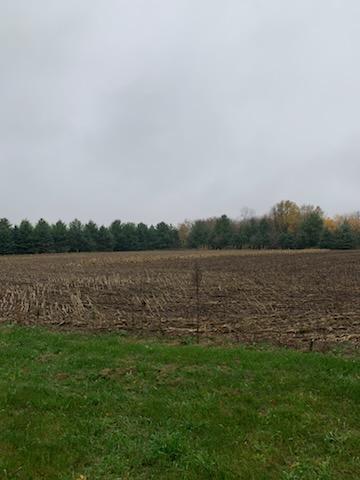 TBD Harrison Ave NE, Racine, MN 55967