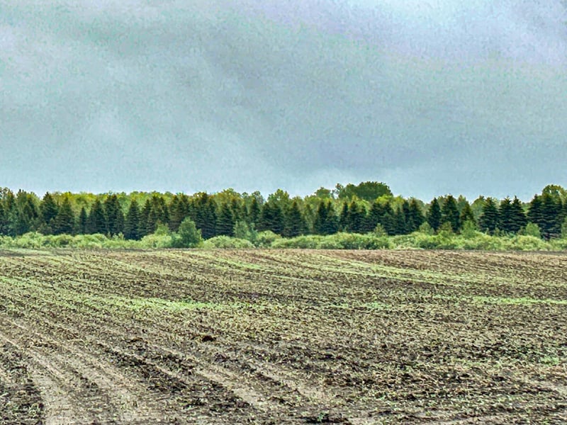 27XXX County Highway 73, Deer Creek, MN 56527