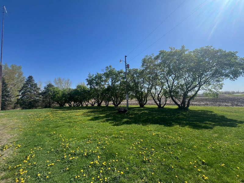 15350 County Rd, Sacred Heart, MN 56285