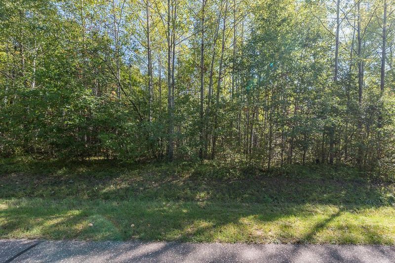 TBD Tract D Little Pine Rd, Brainerd, MN 56401