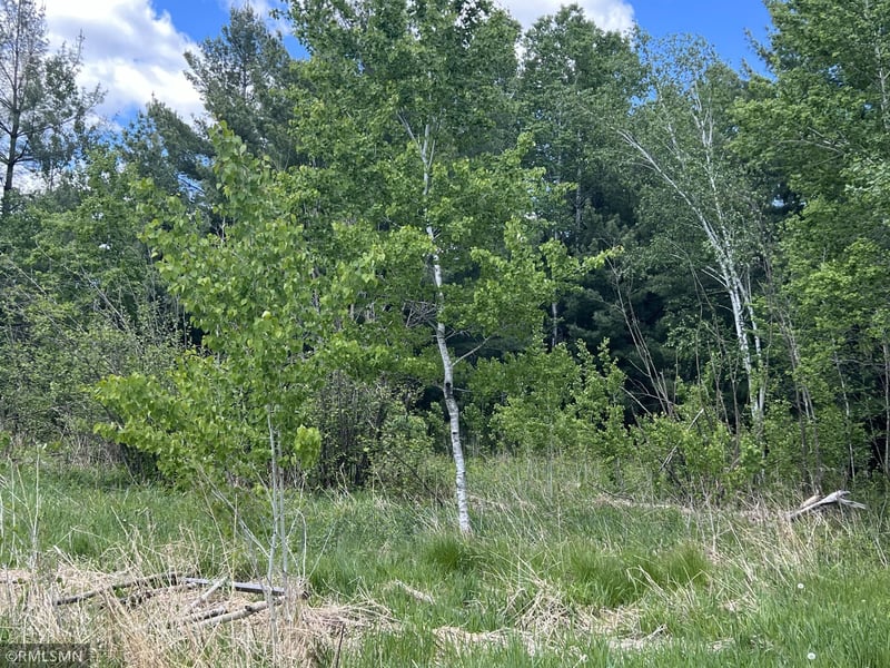 3899 Meadow Lark Curve, Grasston, MN 55030