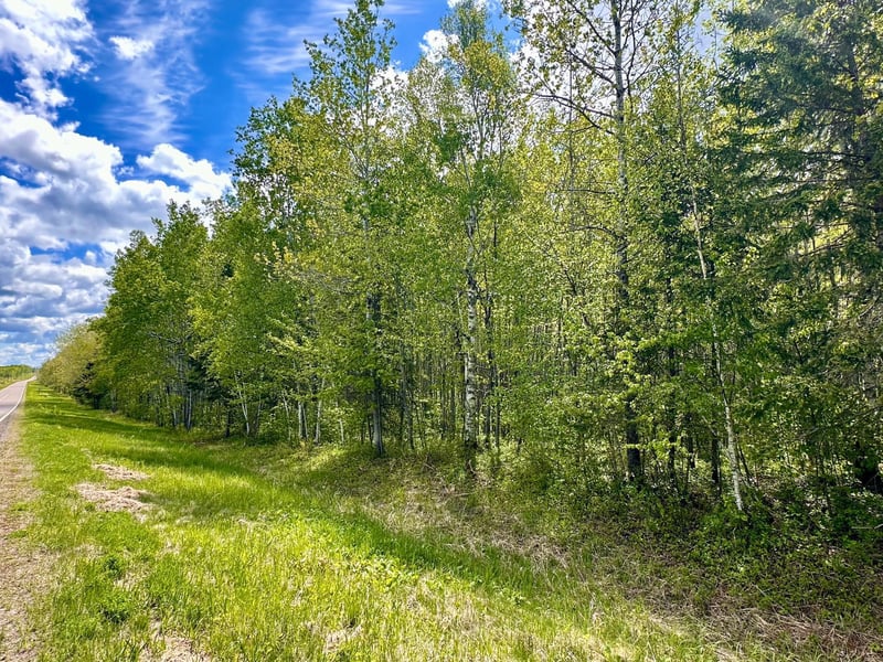 TBD County Rd 12, Moose Lake, MN 55767