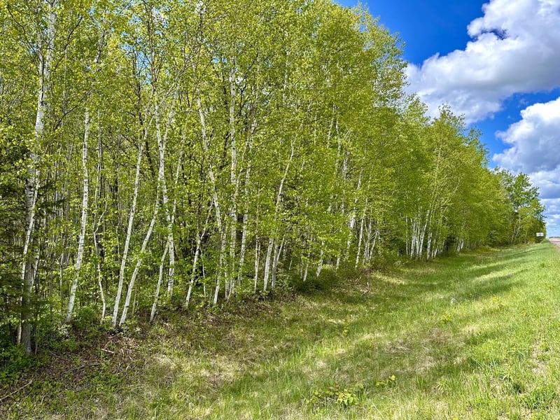 TBD County Rd 12, Moose Lake, MN 55767