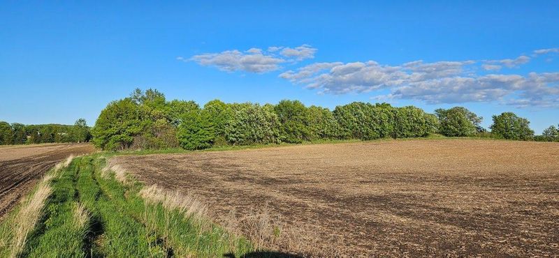 XXXX Co Rd 35, Miltona, MN 56354