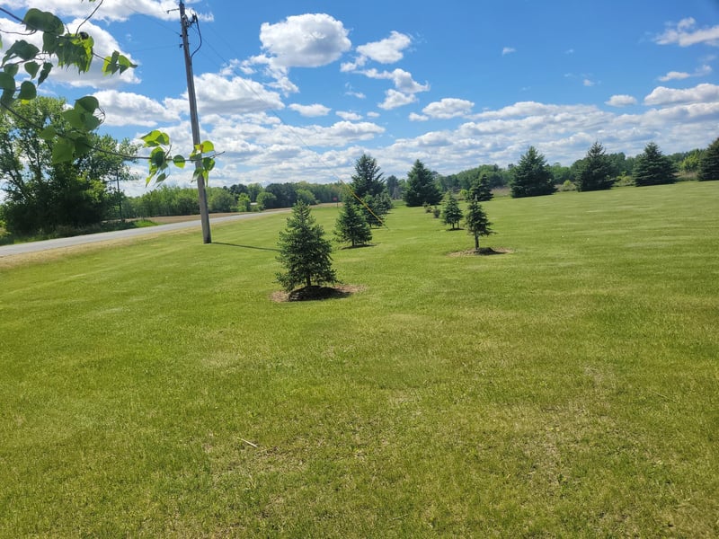 TBD 11 1/2 Ave, Turtle Lake, WI 54889