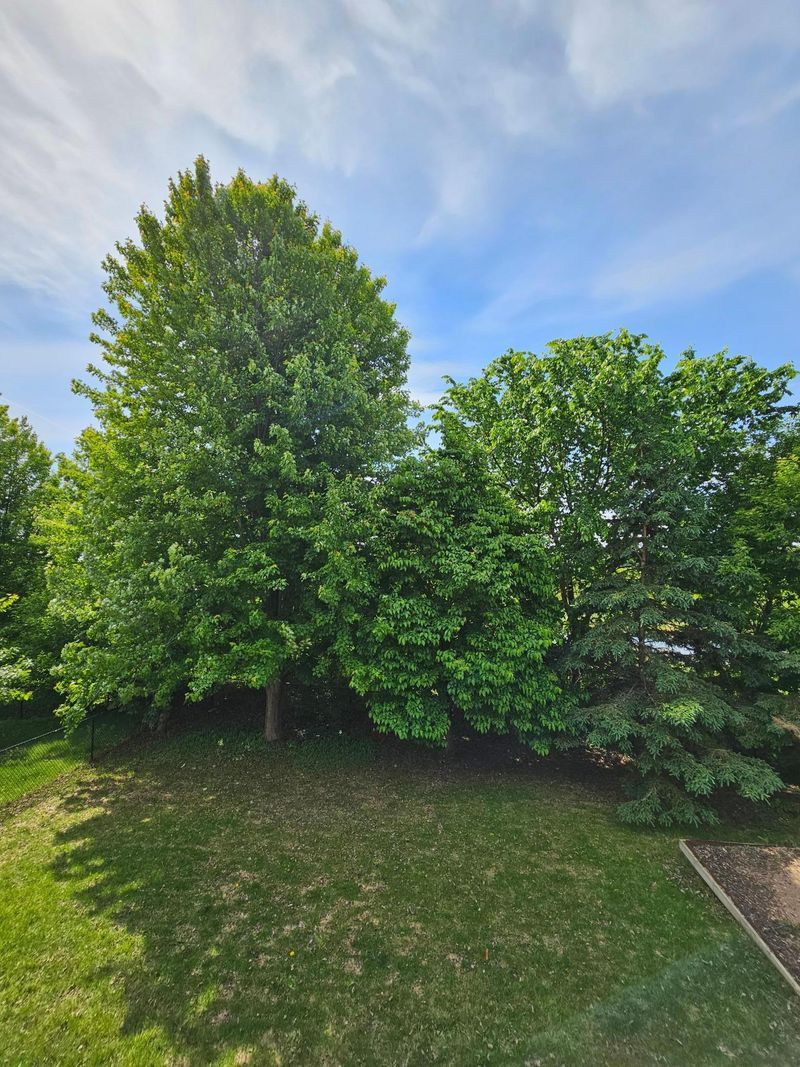 4629 Empress Way N, Hugo, MN 55038