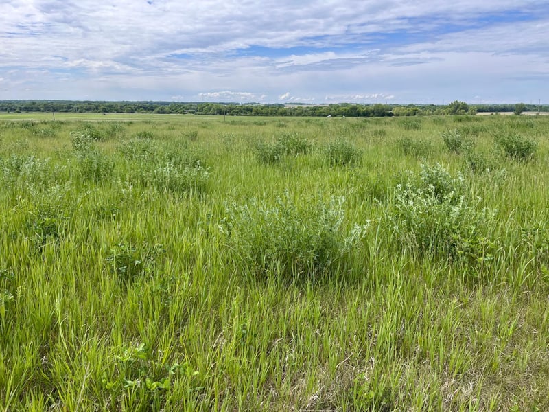 31099 El Mar Cir, Paynesville, MN 56362