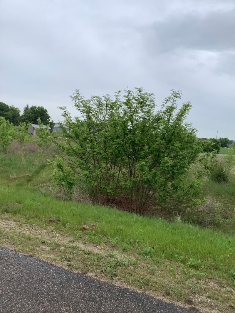 Lot 15 792nd, River Falls, WI 54022