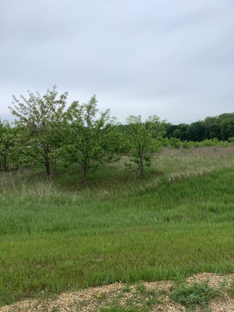 Lot 15 792nd, River Falls, WI 54022