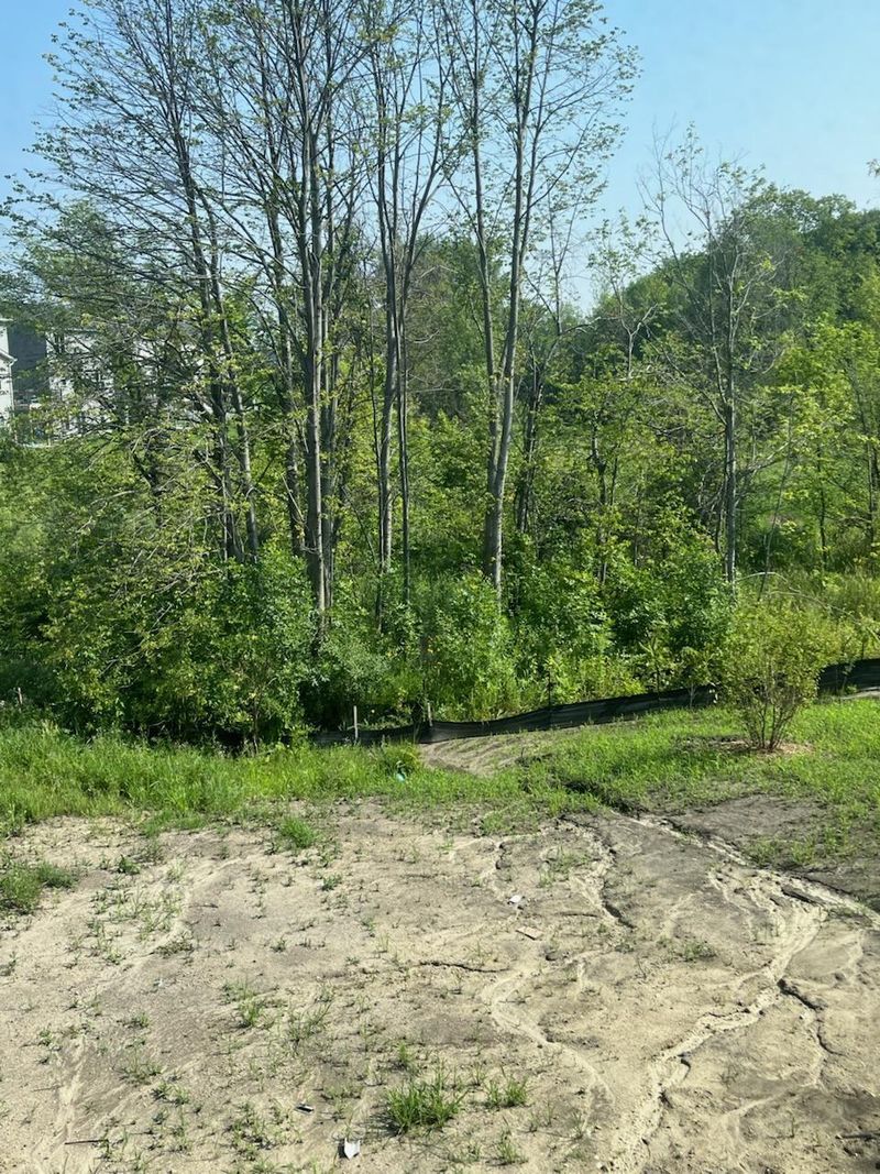 1866 Charleston Ln, Waconia, MN 55387
