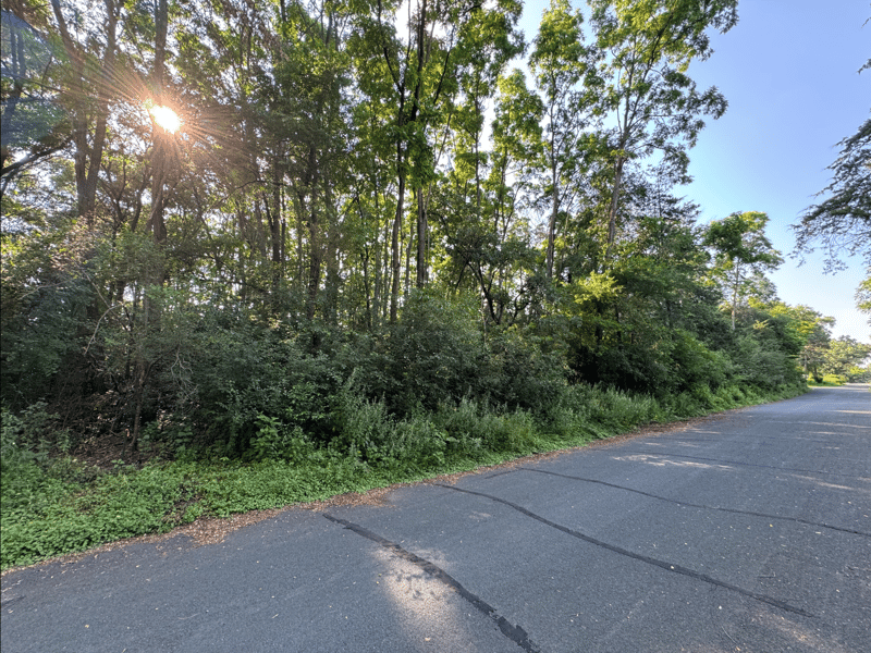 0000 Quentin Ave S, Lakeland, MN 55043